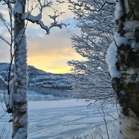 In Alta, Tverrelvdalen *